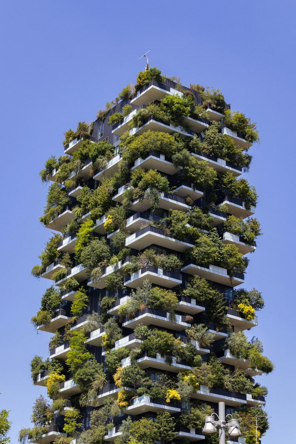 Sustainable architecture