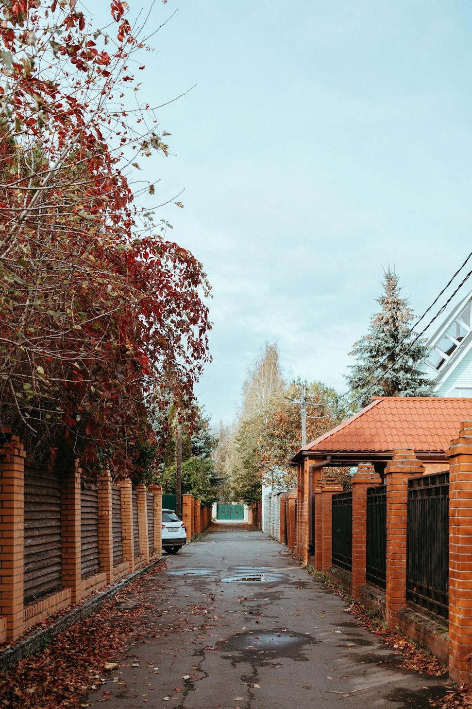 Bloor West Laneway